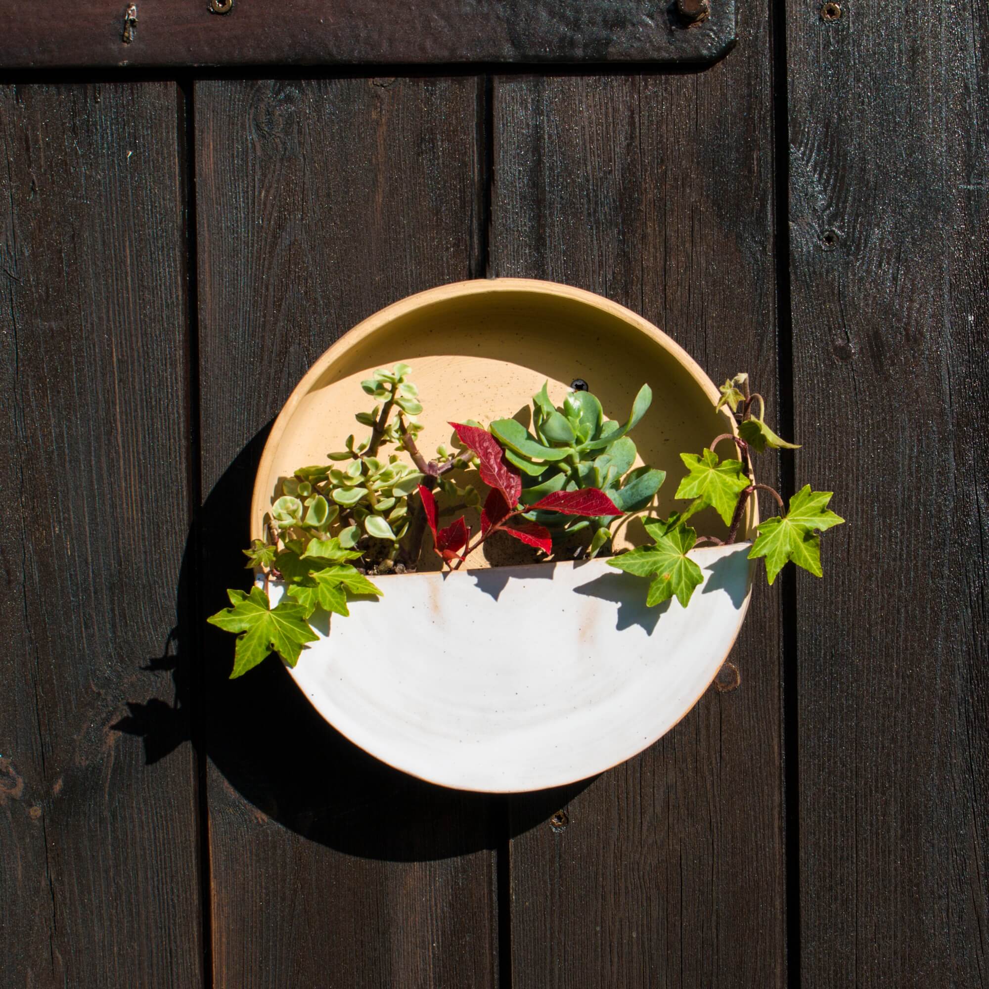Mkono Glas-Wand-Blumentopf – Wandmontage, Für Luftpflanzen & Sukkulenten, Farblos – Deko Für Zuhause & Büro