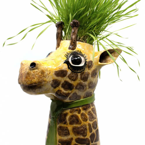 Giraffen Blumentopf Detail