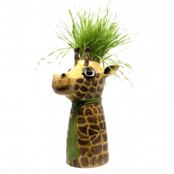 Giraffen Blumentopf Front
