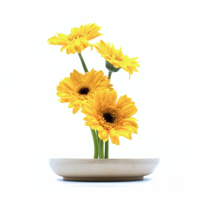 handgemachte Ikebana Vase mit Blumen