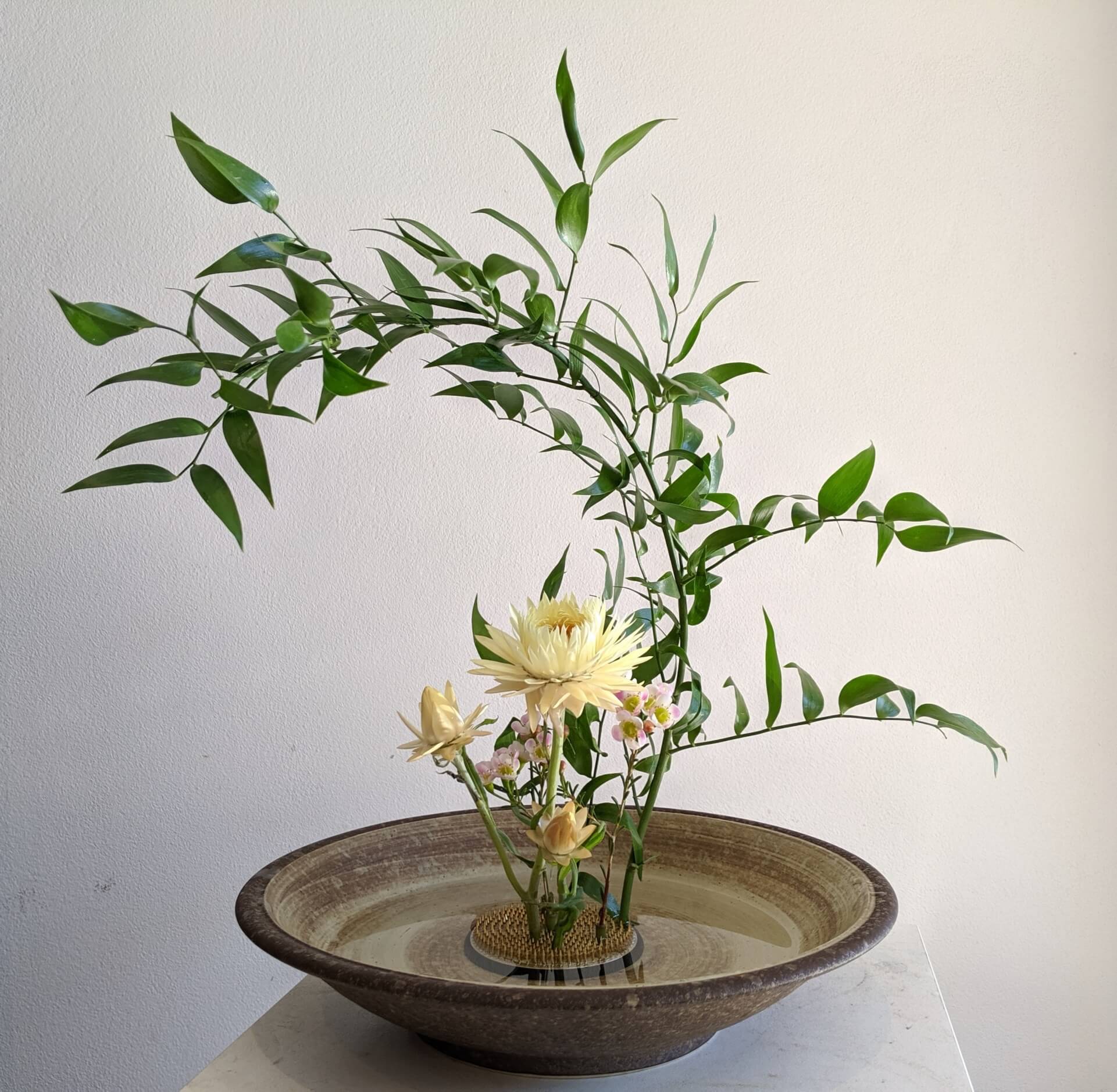 Ikebana Zubehör 5 Stück Ikebana-Blumenhalter Aus Kunststoff – Rund, Transparent, Mit 3 Saugnäpfen, Nadelkranz Für Blumenarrangements, Für DIY, Vasen, Blumenkunst, Stabil, Wiederverwendbar